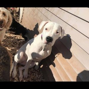 Meet your Posher, Erica